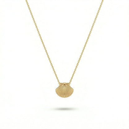 18k Gold plated necklace with a shell pendant on a white background